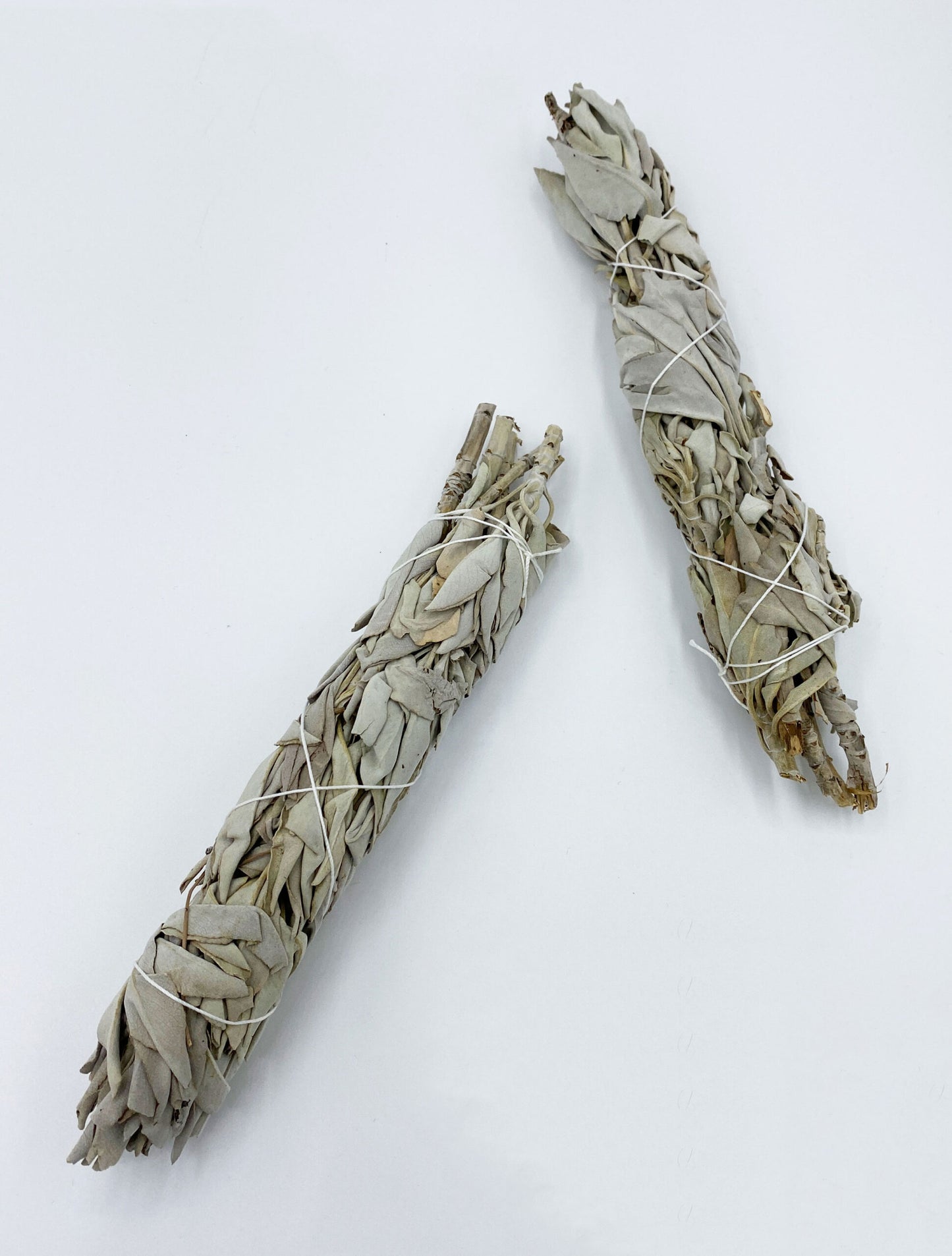 Sage (Large)