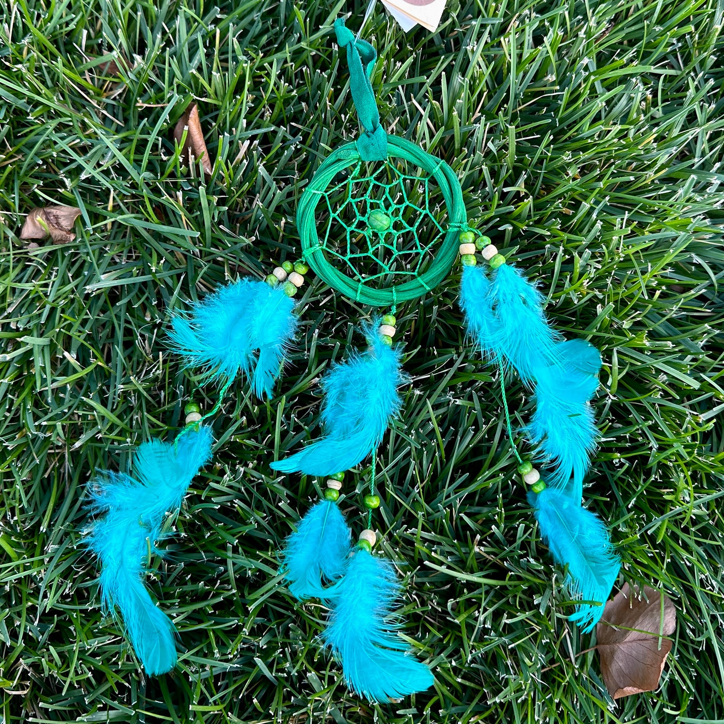 Dream Catcher