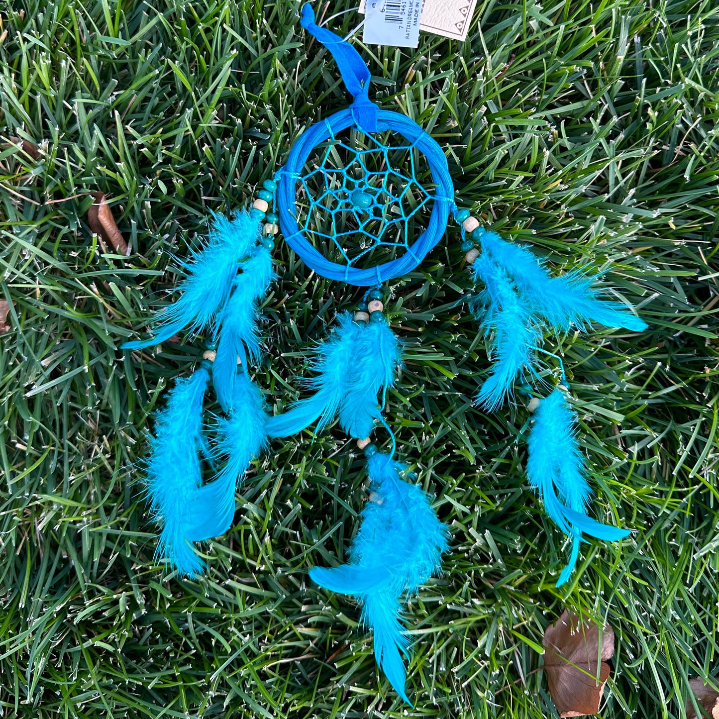 Dream Catcher