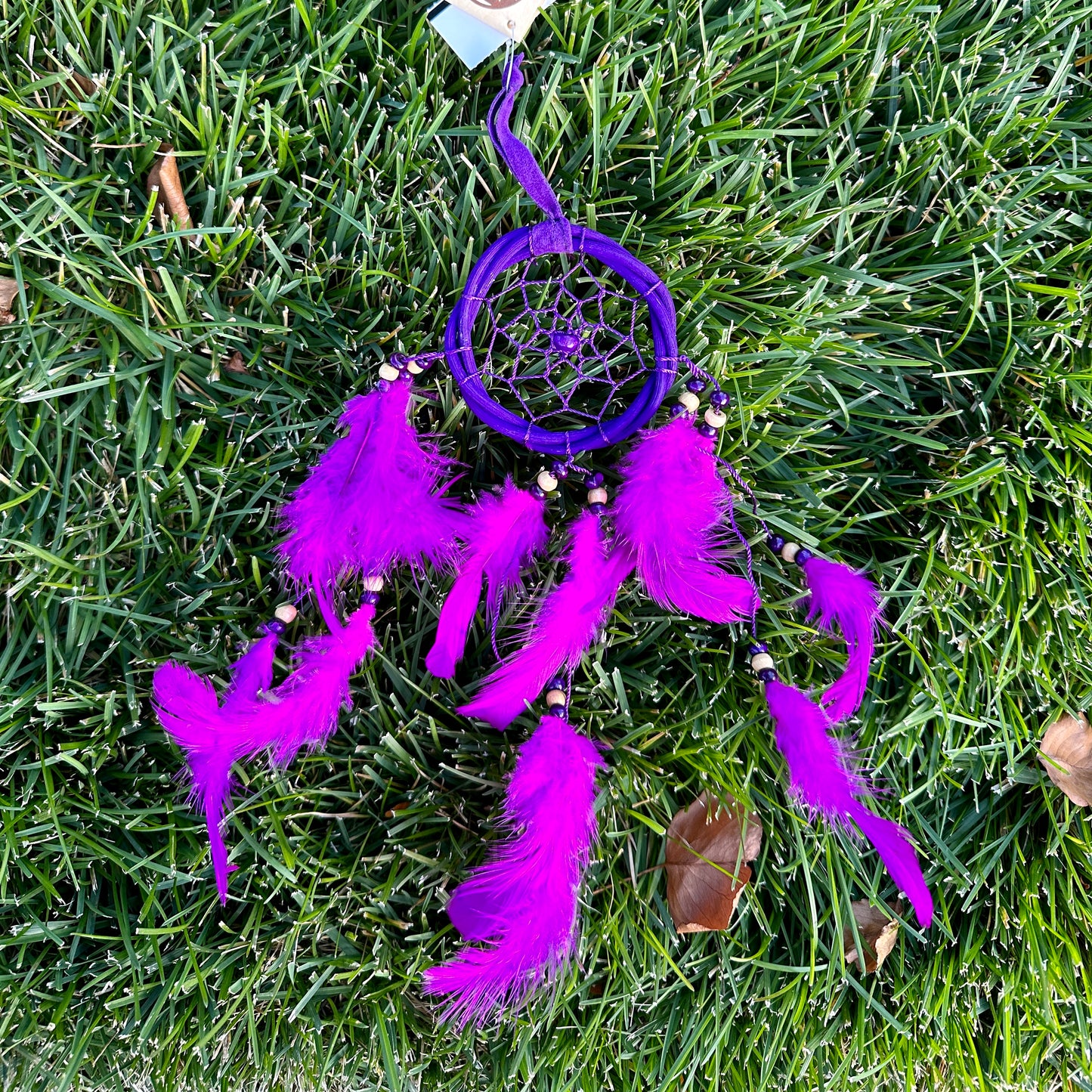 Dream Catcher
