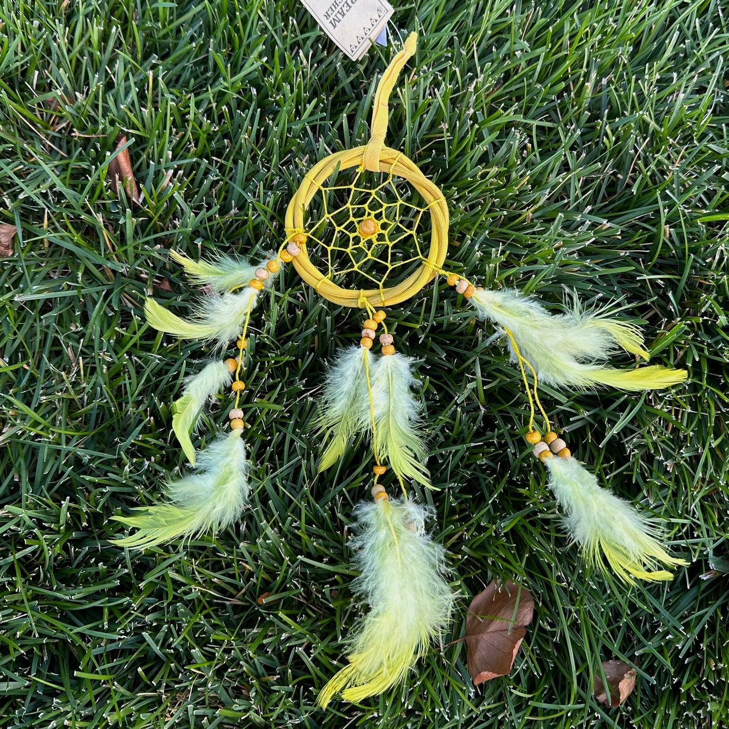 Dream Catcher