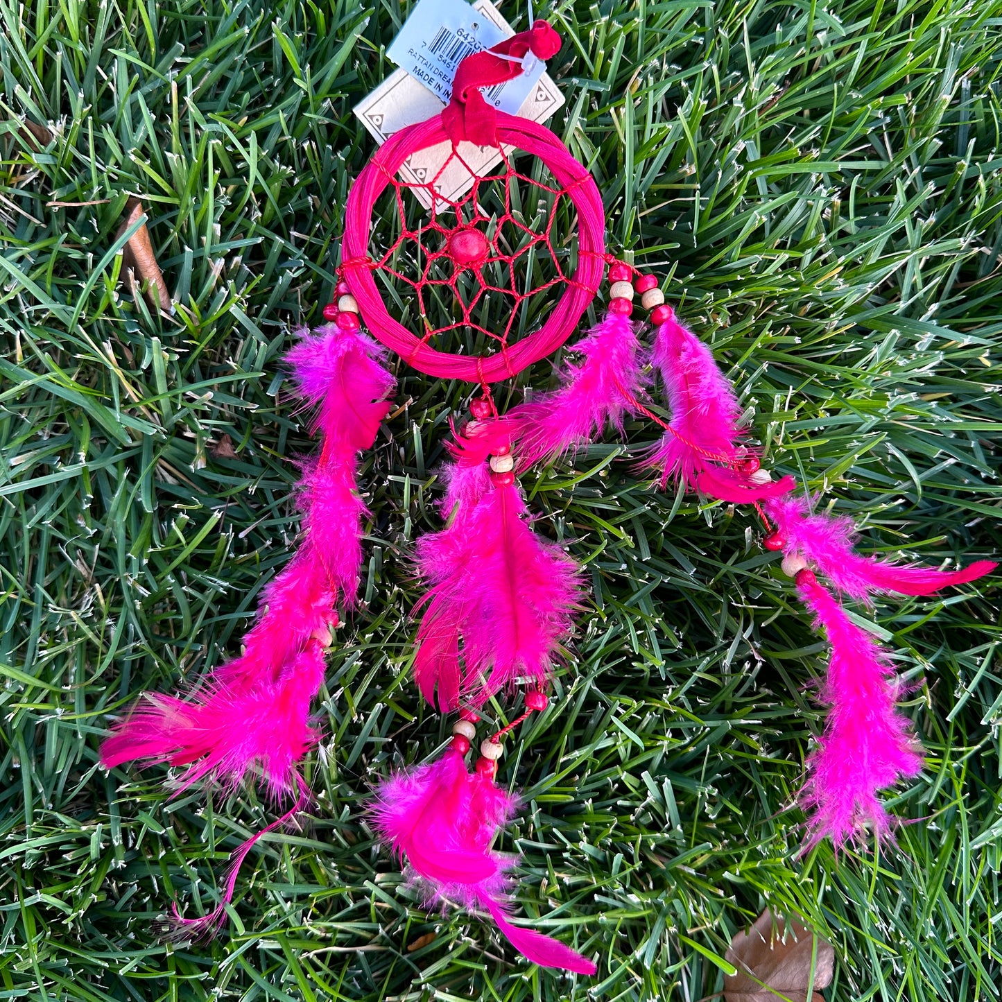 Dream Catcher