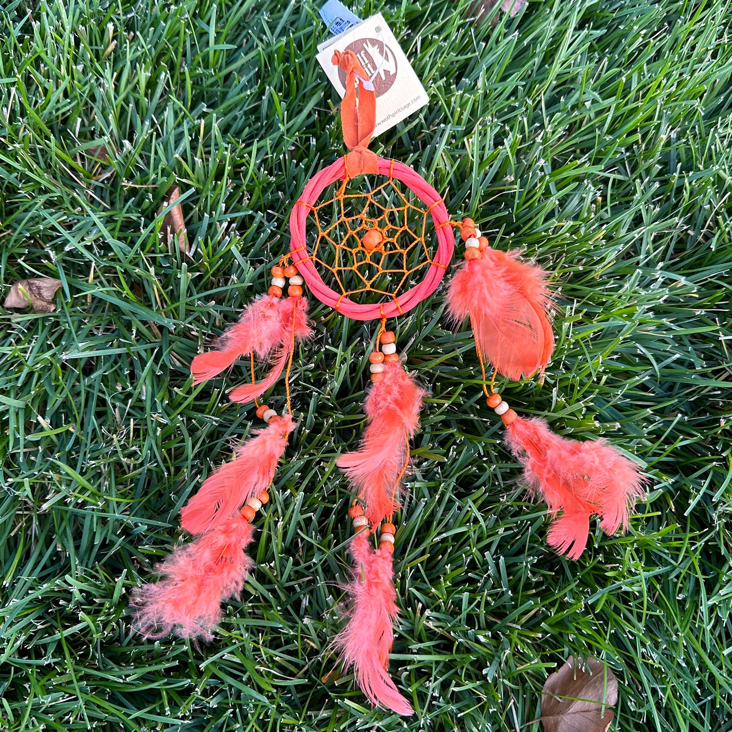 Dream Catcher