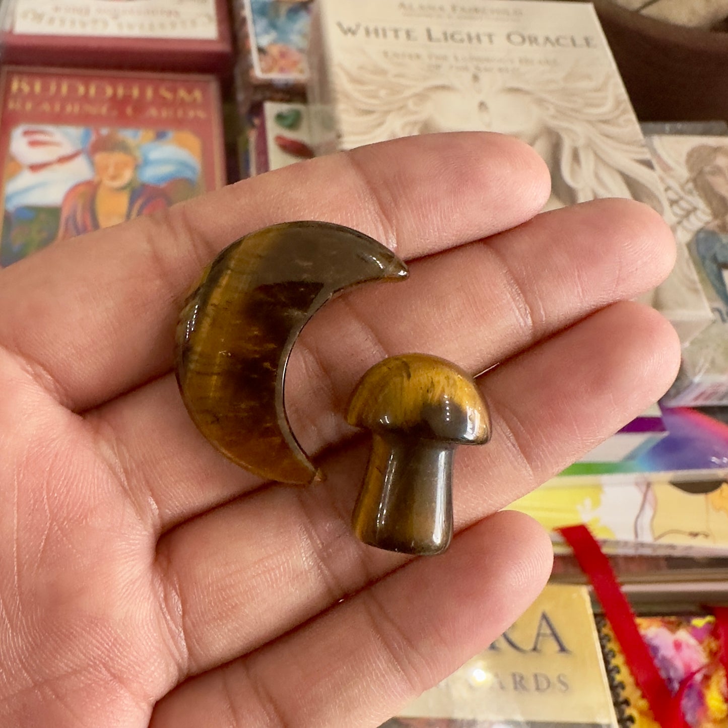 Tiger's Eye Mushroom and Moon 1"