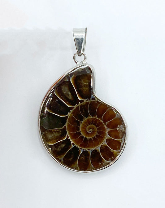 ShellPendant