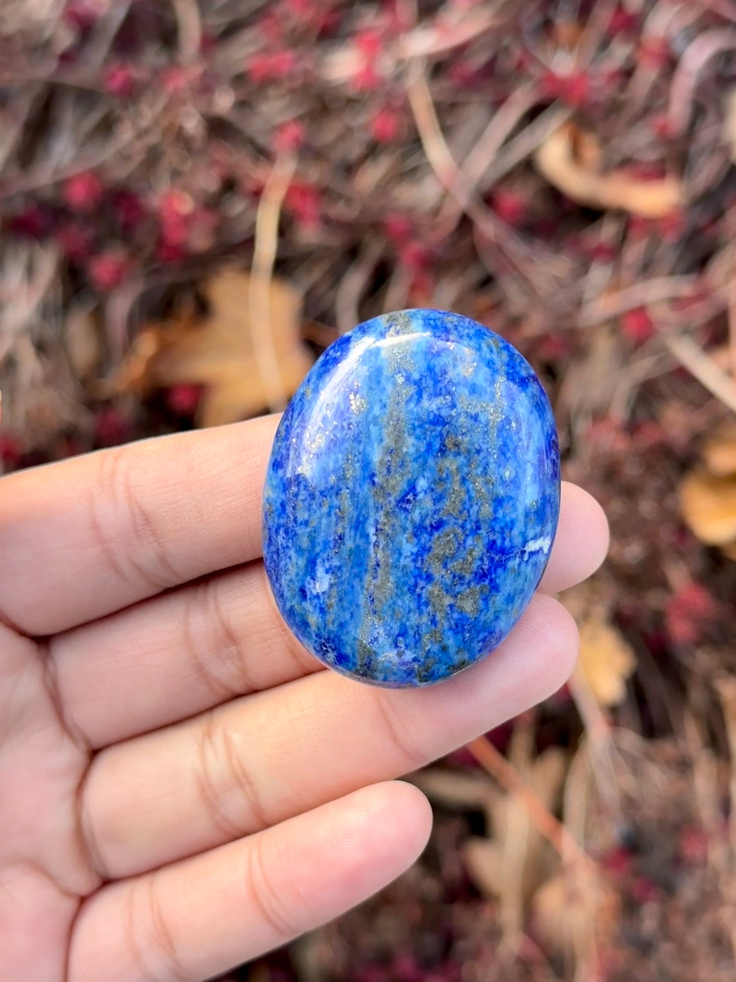 Lapiz Lazuli Palm Stone