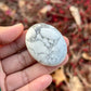 White Howlite Palm Stone