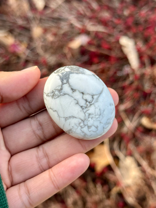 White Howlite Palm Stone