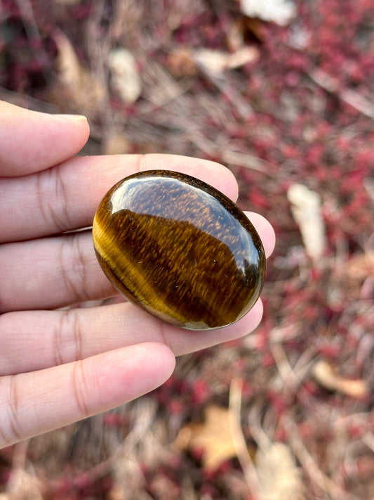 Tiger's Eye Palm Stone